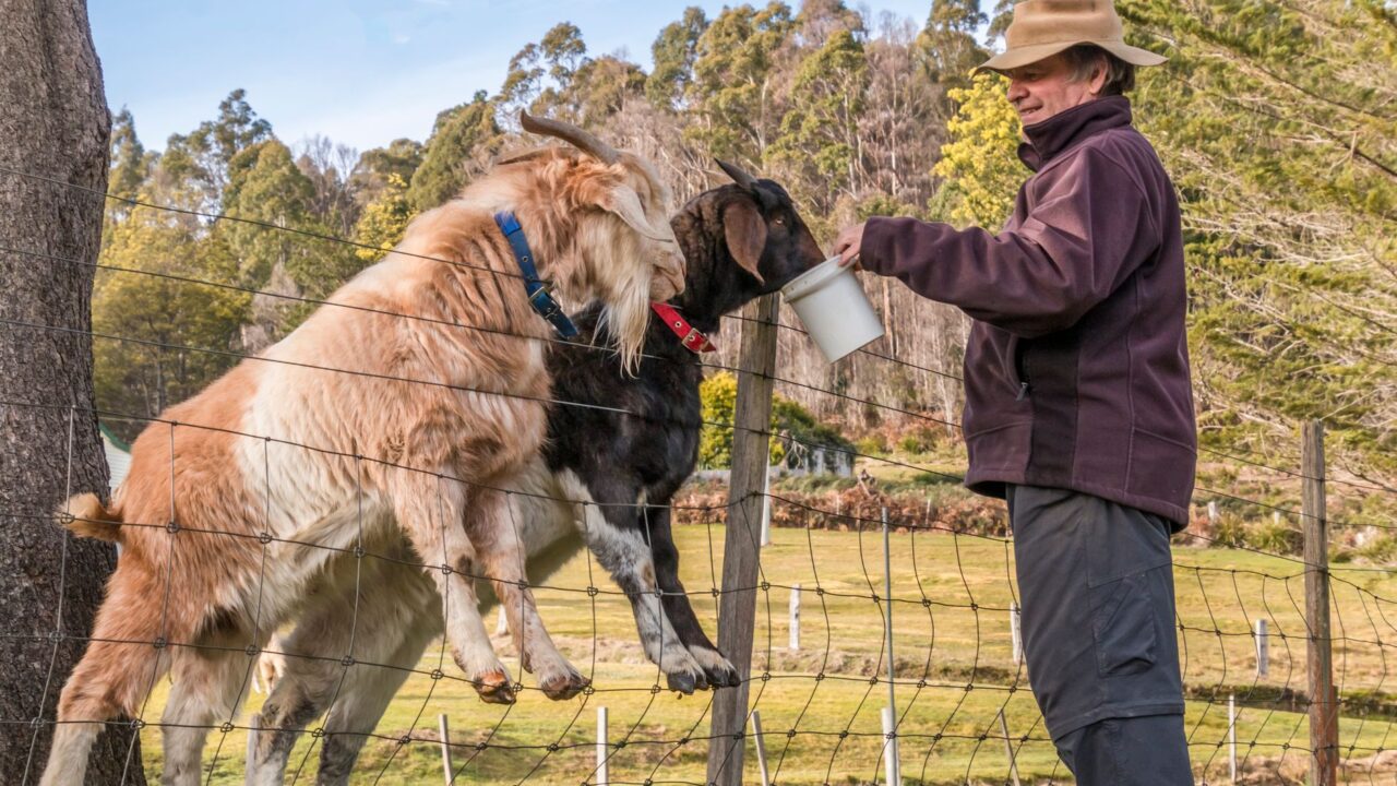 Tirage au sort PVT Australie : ce qui change pour les 2e et 3e visas